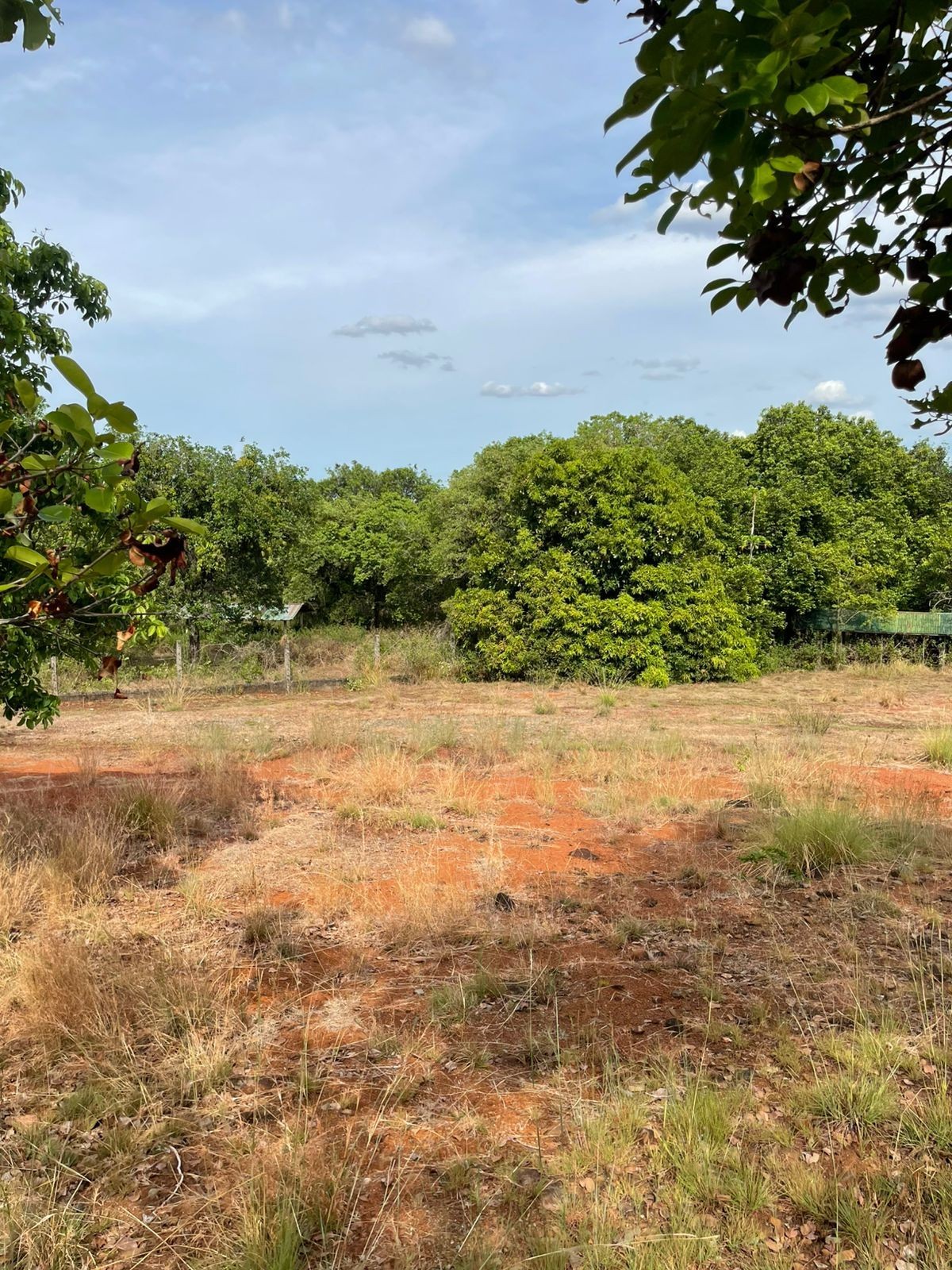 FS: Agricultural Lots in Brgy. Sapang, Pangasinan.
